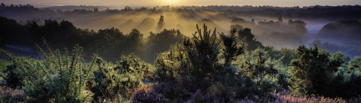 Dawn In The Surrey Hills Print by ChromaLuxe Printer